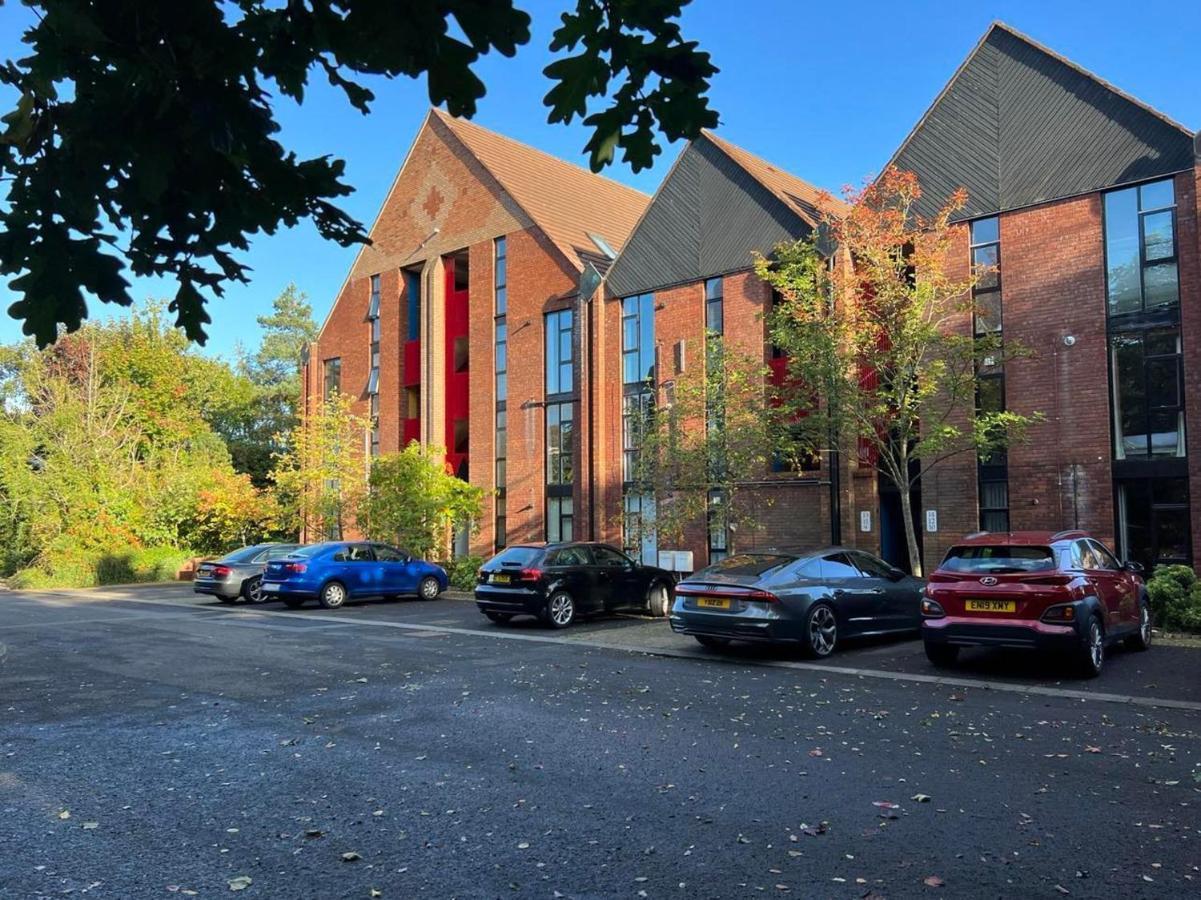 Modern Luxurious Apartment W/ Patio Balcony & View Jordanstown Luaran gambar